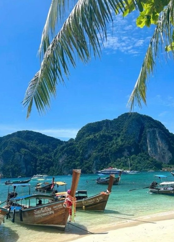 Seasia1