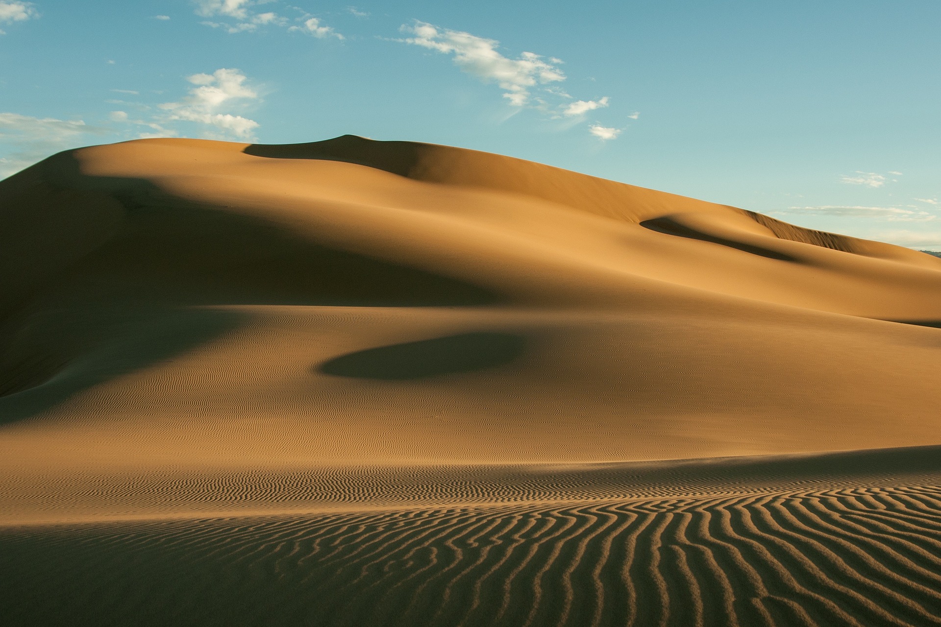 Mongolia gobi