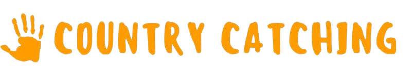 Instant form site logo