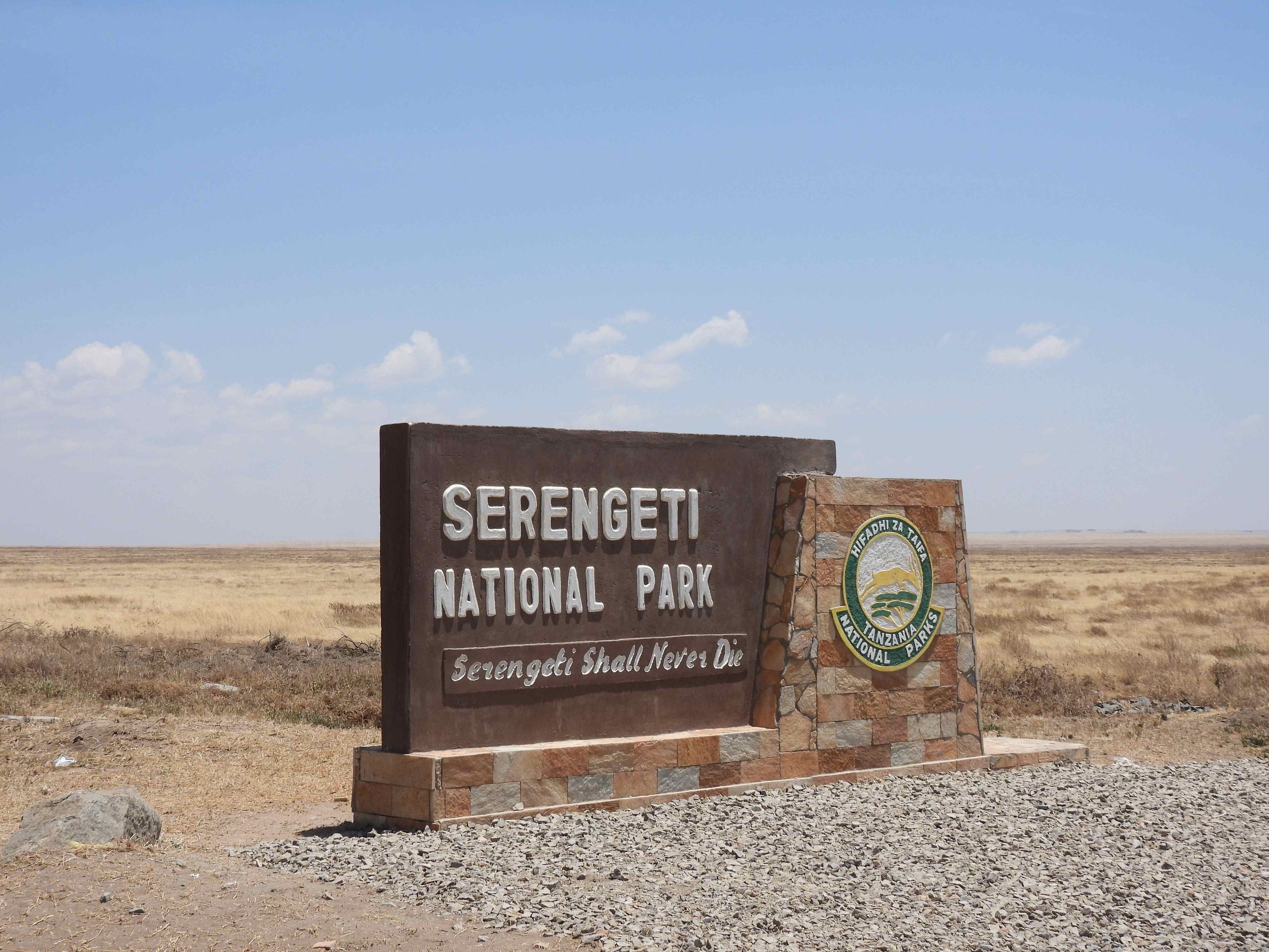 serengeti2