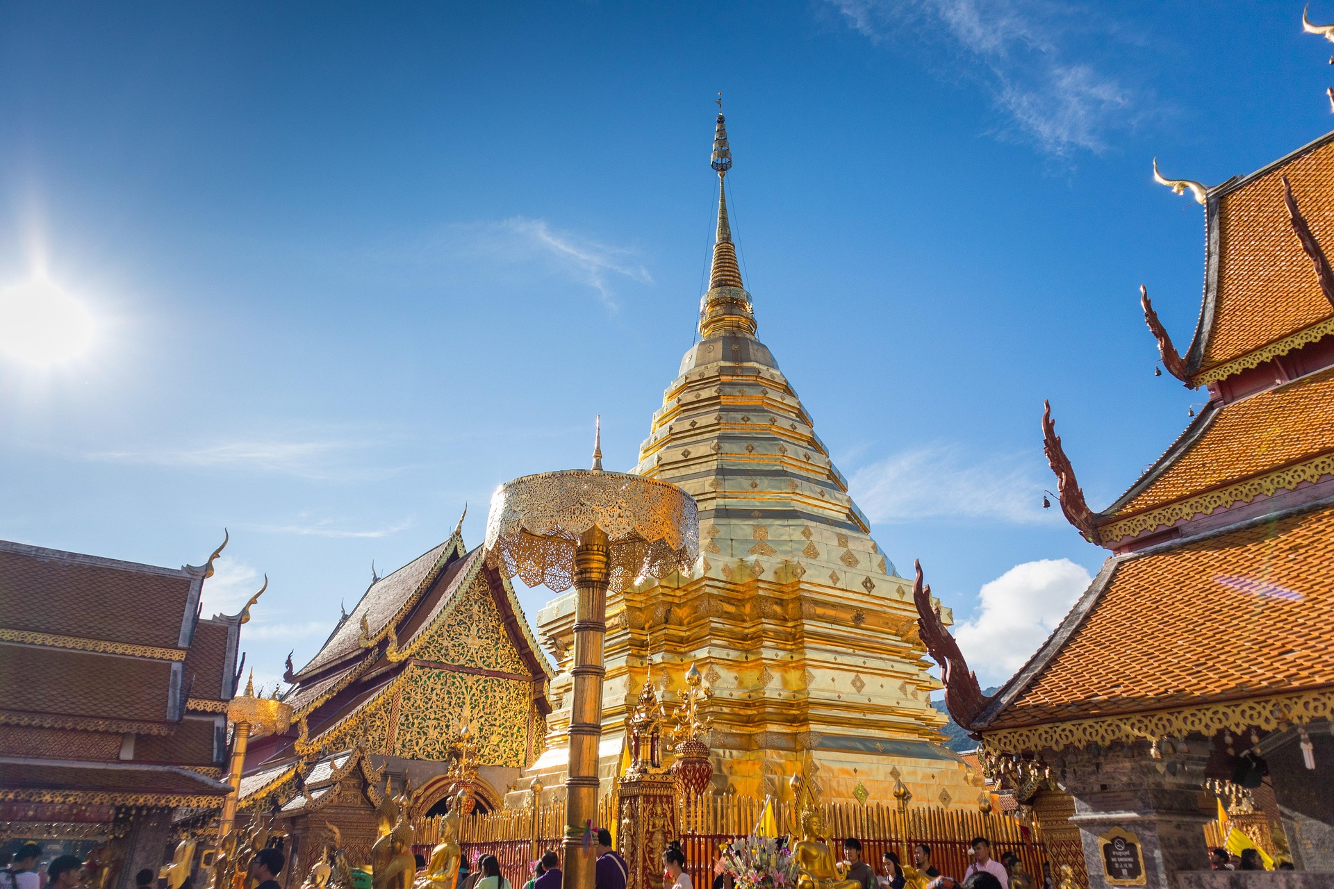 focuszaa chaingmai 4309820 1920