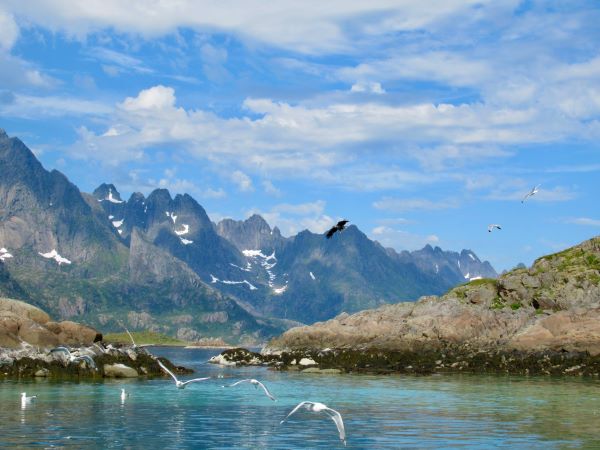 Lofoten Islands, Norway, July 2026