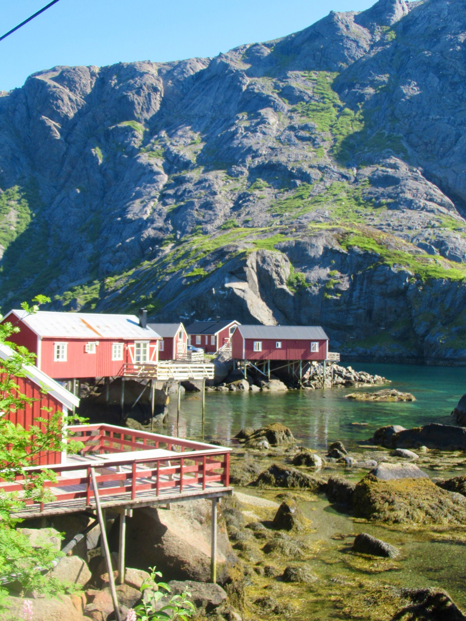 lofoten savaer